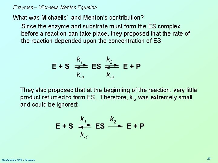 Enzymes – Michaelis-Menton Equation What was Michaelis’ and Menton’s contribution? Since the enzyme and