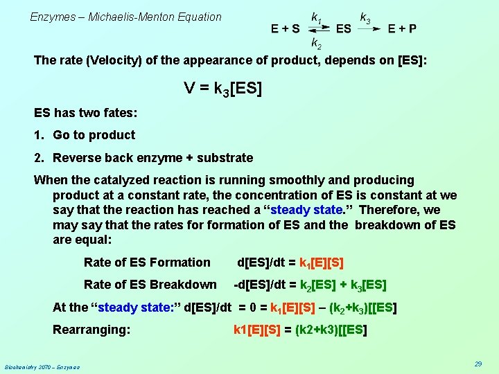 Enzymes – Michaelis-Menton Equation The rate (Velocity) of the appearance of product, depends on