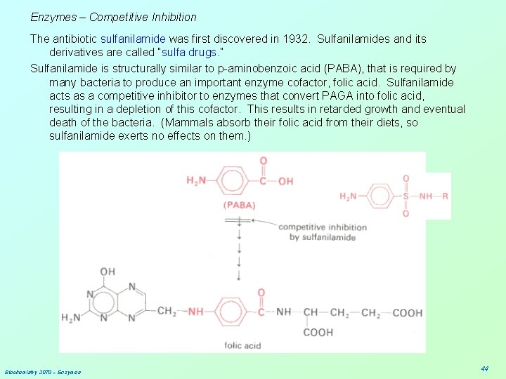 Enzymes – Competitive Inhibition The antibiotic sulfanilamide was first discovered in 1932. Sulfanilamides and