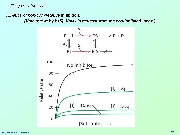 Enzymes - Inhibition Kinetics of non-competetive inhibition: (Note that at high [S], Vmax is