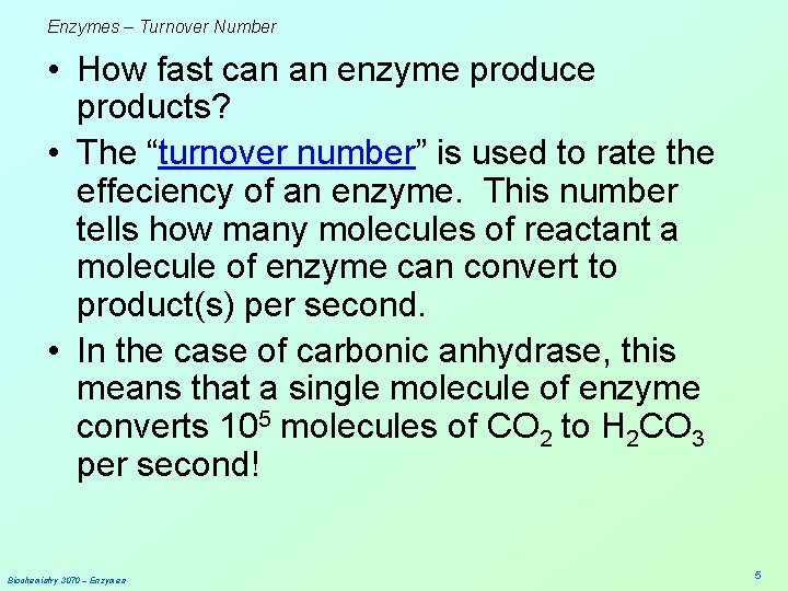 Enzymes – Turnover Number • How fast can an enzyme products? • The “turnover