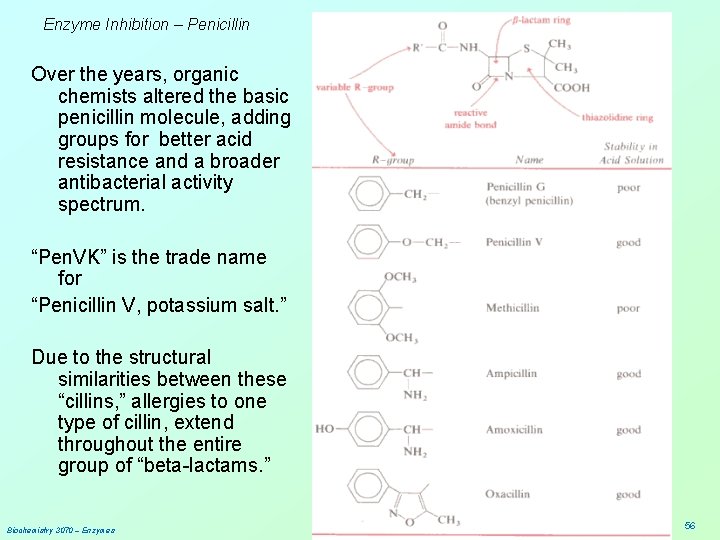 Enzyme Inhibition – Penicillin Over the years, organic chemists altered the basic penicillin molecule,