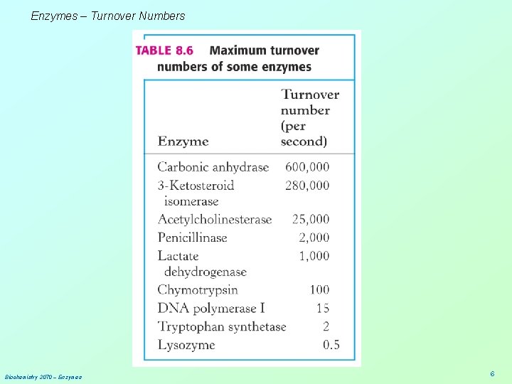 Enzymes – Turnover Numbers Biochemistry 3070 – Enzymes 6 