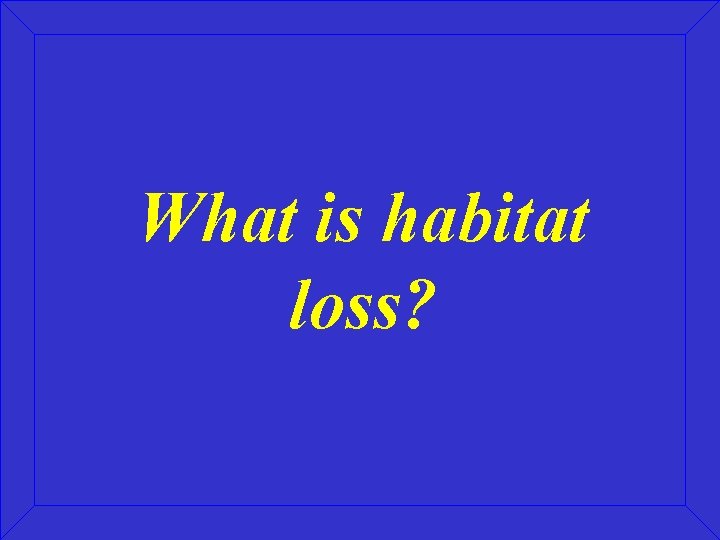 What is habitat loss? 