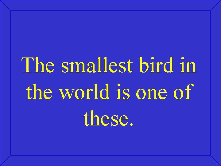 The smallest bird in the world is one of these. 