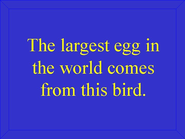 The largest egg in the world comes from this bird. 