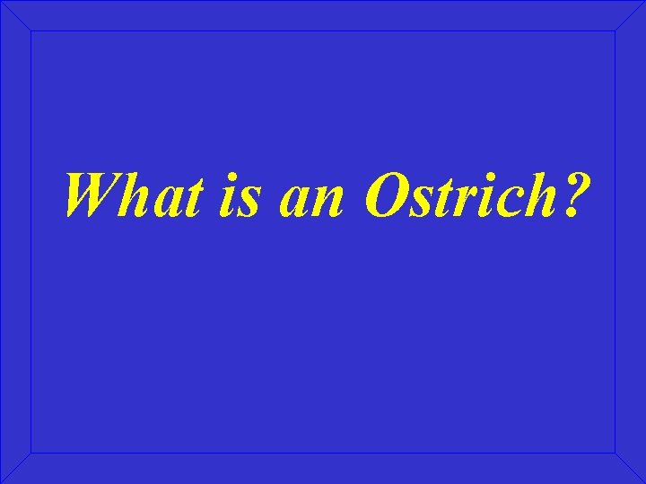 What is an Ostrich? 