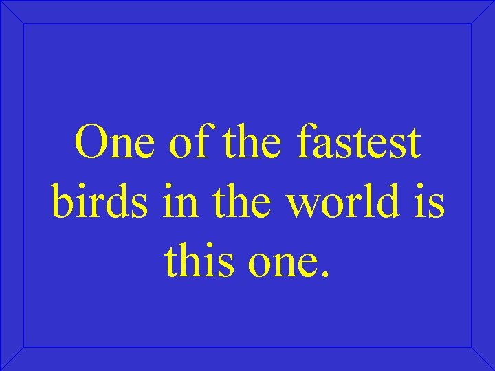 One of the fastest birds in the world is this one. 