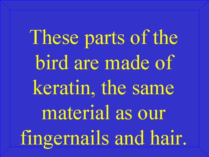 These parts of the bird are made of keratin, the same material as our