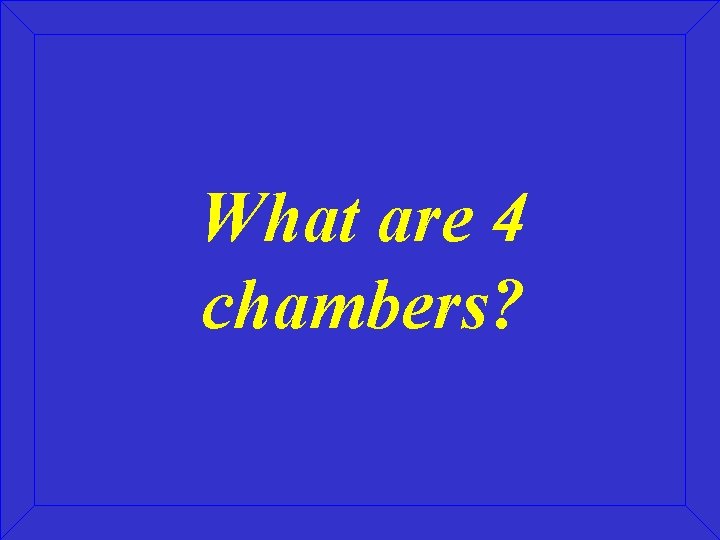 What are 4 chambers? 