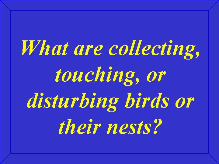 What are collecting, touching, or disturbing birds or their nests? 