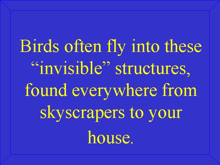 Birds often fly into these “invisible” structures, found everywhere from skyscrapers to your house.