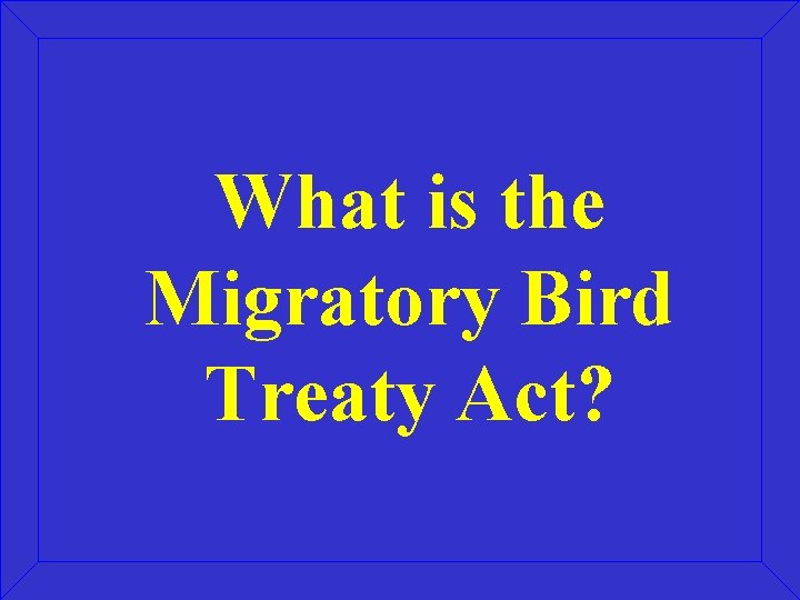 What is the Migratory Bird Treaty Act? 