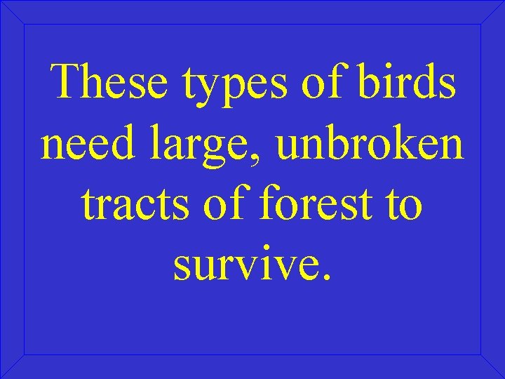 These types of birds need large, unbroken tracts of forest to survive. 