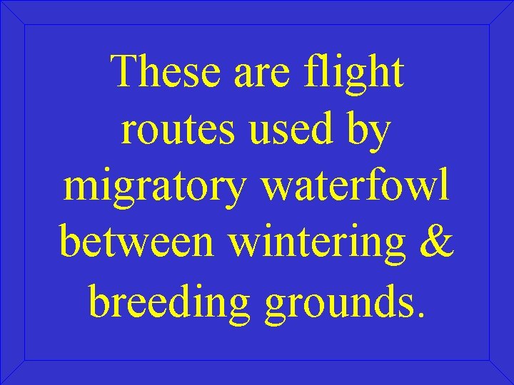 These are flight routes used by migratory waterfowl between wintering & breeding grounds. 