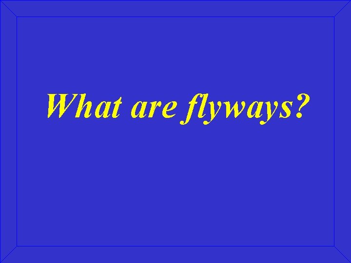 What are flyways? 