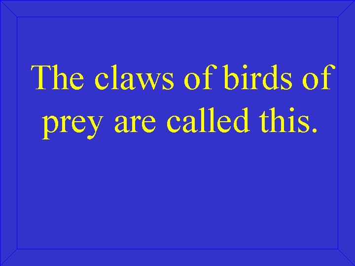 The claws of birds of prey are called this. 