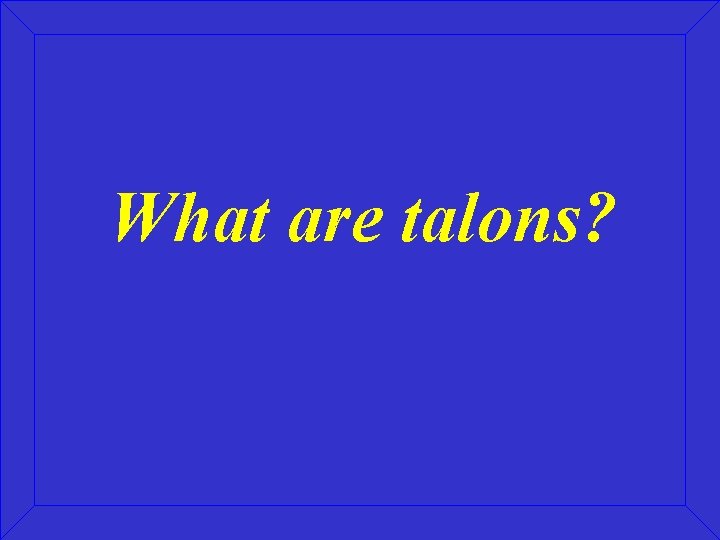 What are talons? 
