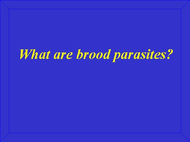 What are brood parasites? 