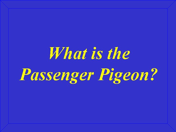What is the Passenger Pigeon? 