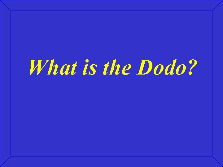 What is the Dodo? 