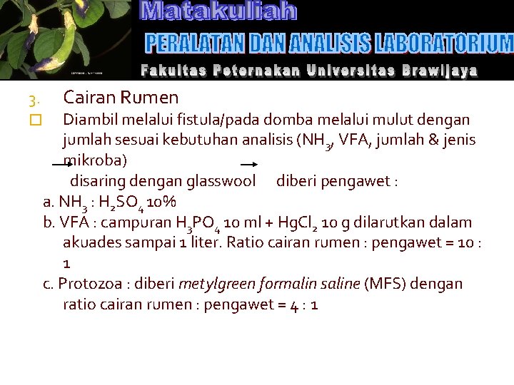 3. Cairan Rumen Diambil melalui fistula/pada domba melalui mulut dengan jumlah sesuai kebutuhan analisis