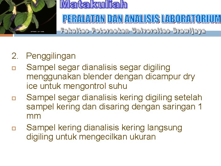 2. Penggilingan Sampel segar dianalisis segar digiling menggunakan blender dengan dicampur dry ice untuk