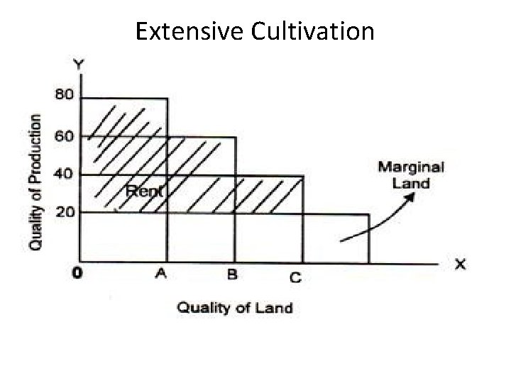 Extensive Cultivation 