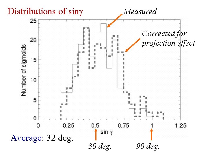 Distributions of sing Measured Corrected for projection effect Average: 32 deg. 30 deg. 90