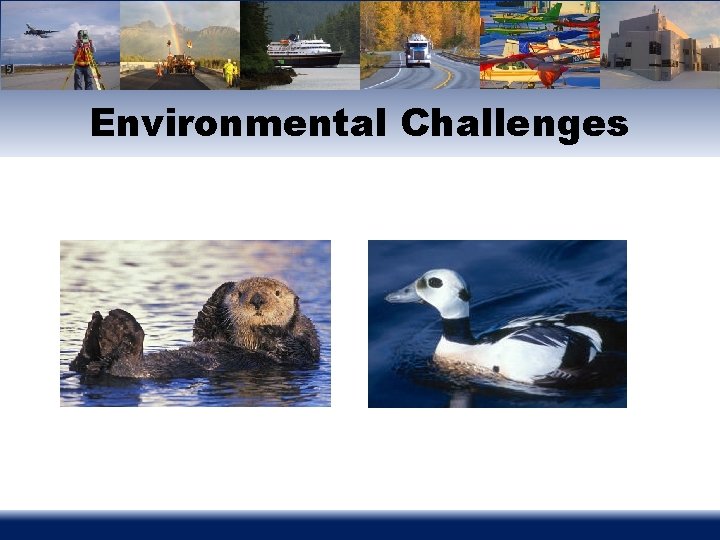 Environmental Challenges 