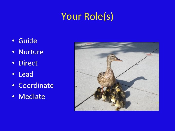 Your Role(s) • • • Guide Nurture Direct Lead Coordinate Mediate 