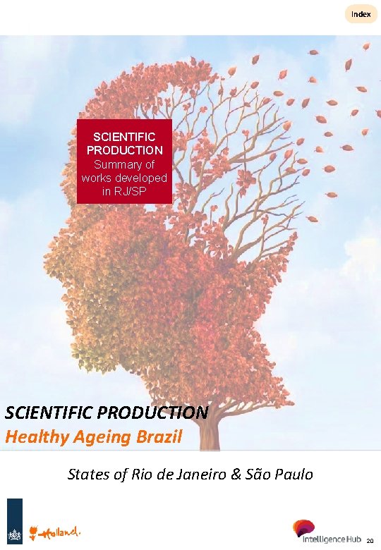 Index SCIENTIFIC PRODUCTION Summary of works developed in RJ/SP SCIENTIFIC PRODUCTION Healthy Ageing Brazil