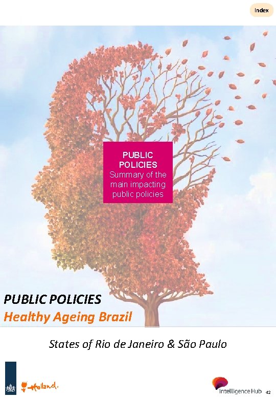 Index PUBLIC POLICIES Summary of the main impacting public policies PUBLIC POLICIES Healthy Ageing