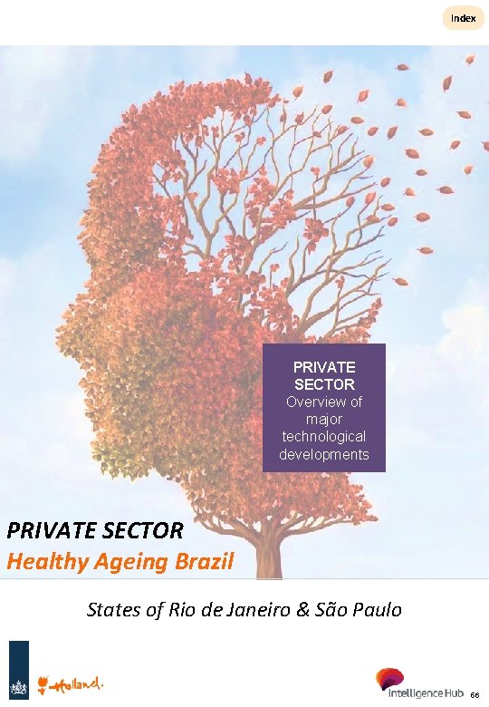 Index PRIVATE SECTOR Overview of major technological developments PRIVATE SECTOR Healthy Ageing Brazil States