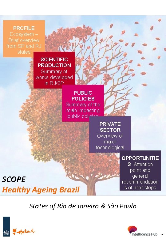 PROFILE Ecosystem – Brief overview from SP and RJ states SCIENTIFIC PRODUCTION Summary of