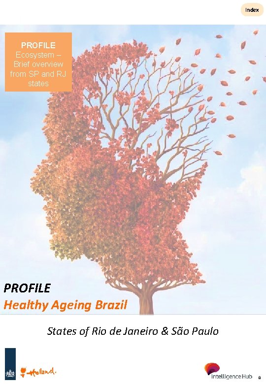 Index PROFILE Ecosystem – Brief overview from SP and RJ states PROFILE Healthy Ageing