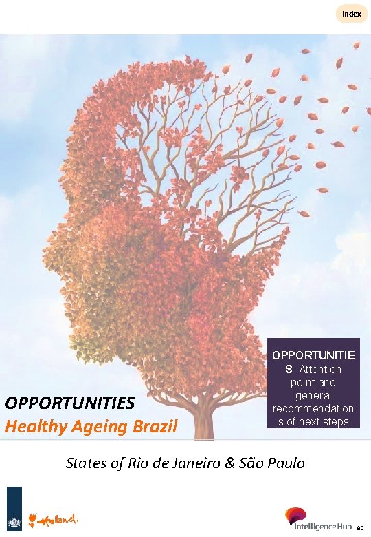 Index OPPORTUNITIES Healthy Ageing Brazil OPPORTUNITIE S Attention point and general recommendation s of
