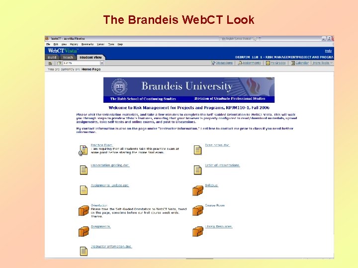 The Brandeis Web. CT Look The Brandeis Web. CT Look