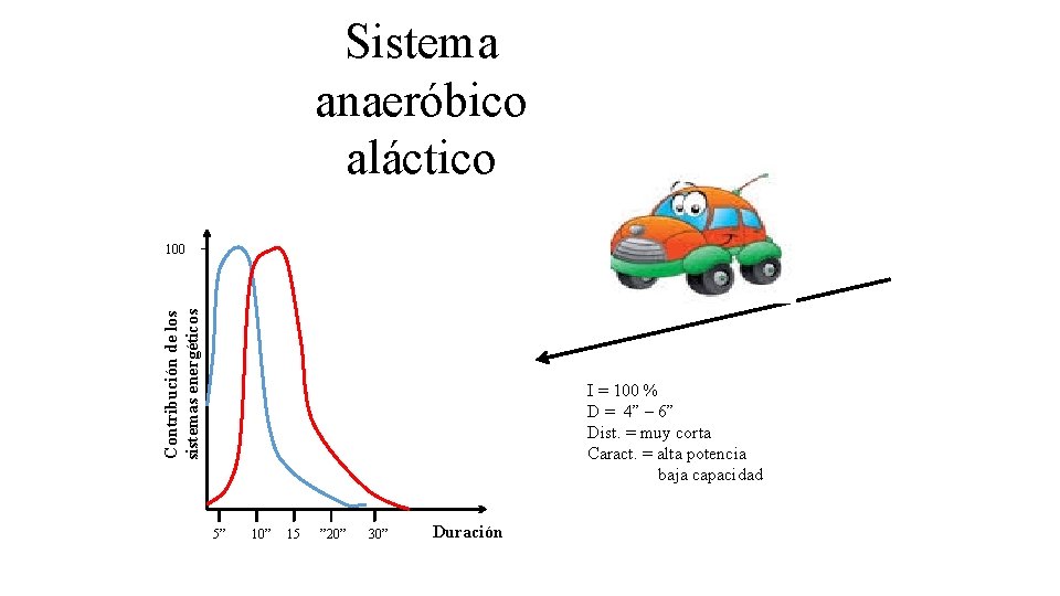 Sistema anaeróbico aláctico Contribución de los sistemas energéticos 100 5” 10” 15 ” 20”