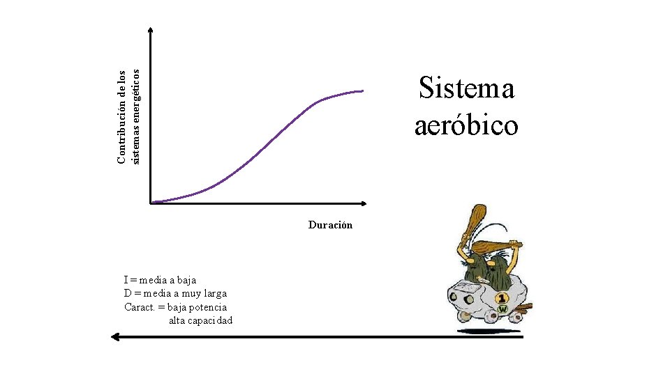 Contribución de los sistemas energéticos Sistema aeróbico Duración I = media a baja D