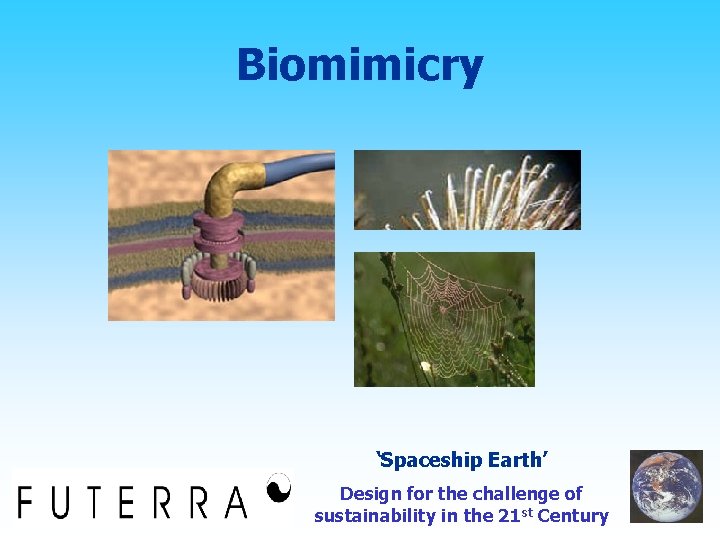 Biomimicry ‘Spaceship Earth’ Design for the challenge of sustainability in the 21 st Century
