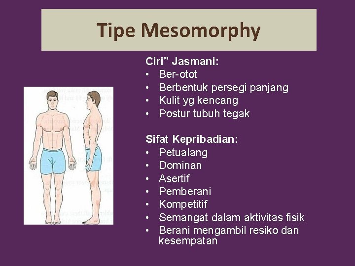 Tipe Mesomorphy Ciri” Jasmani: • Ber-otot • Berbentuk persegi panjang • Kulit yg kencang