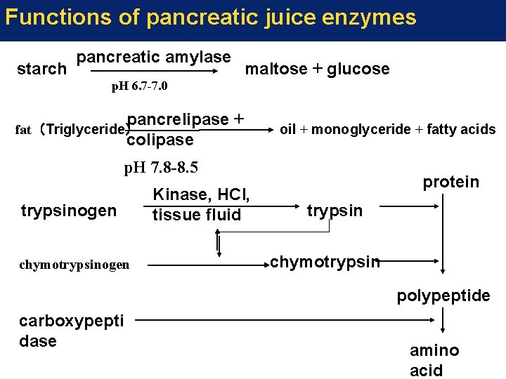 Functions of pancreatic juice enzymes starch pancreatic amylase maltose + glucose p. H 6.