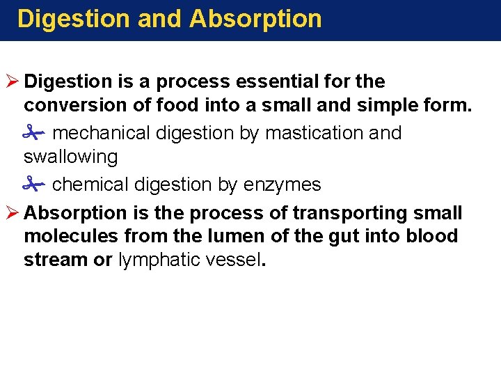 Digestion and Absorption Ø Digestion is a process essential for the conversion of food