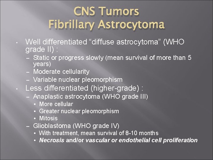 CNS Tumors Fibrillary Astrocytoma • Well differentiated “diffuse astrocytoma” (WHO grade II) : Static