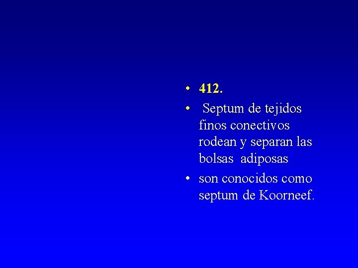  • 412. • Septum de tejidos finos conectivos rodean y separan las bolsas