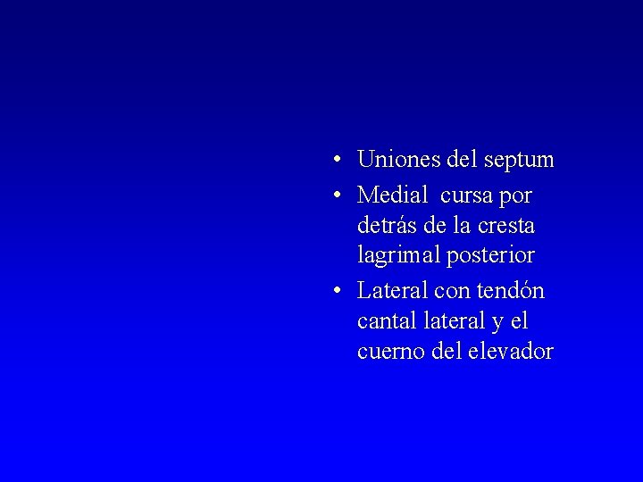  • Uniones del septum • Medial cursa por detrás de la cresta lagrimal