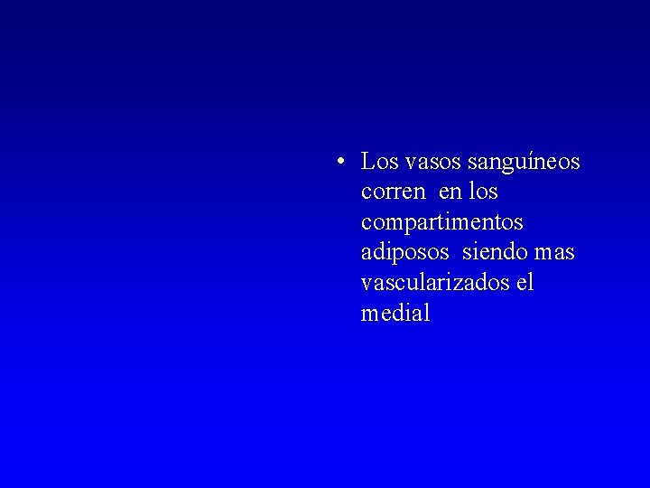  • Los vasos sanguíneos corren en los compartimentos adiposos siendo mas vascularizados el