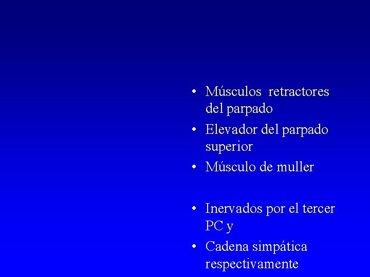  • Músculos retractores del parpado • Elevador del parpado superior • Músculo de