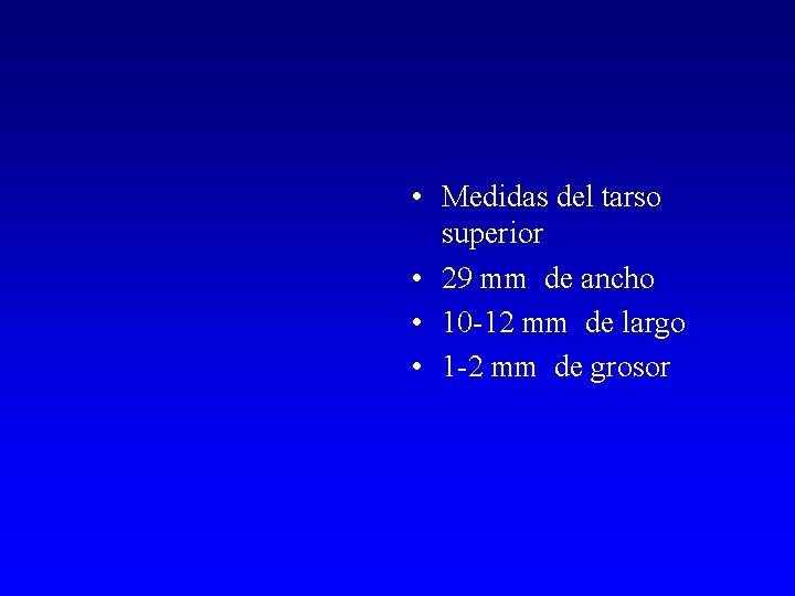  • Medidas del tarso superior • 29 mm de ancho • 10 -12